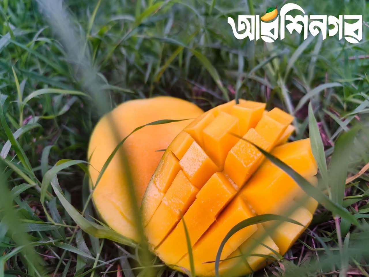 🌿 খিরসাপাত (Chapai Nawabganj Khirsapat) ৪০কেজি - Image 7