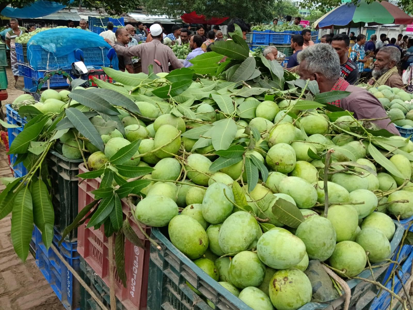 đŋ āĻāĻŋāϰāϏāĻžāĻĒāĻžāϤ (Chapai Nawabganj Khirsapat) ā§Šā§ĻāĻā§āĻāĻŋ - Image 6