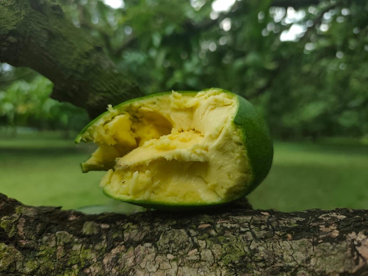 đŋ āĻāĻŋāϰāϏāĻžāĻĒāĻžāϤ (Chapai Nawabganj Khirsapat) ā§Šā§ĻāĻā§āĻāĻŋ - Image 8