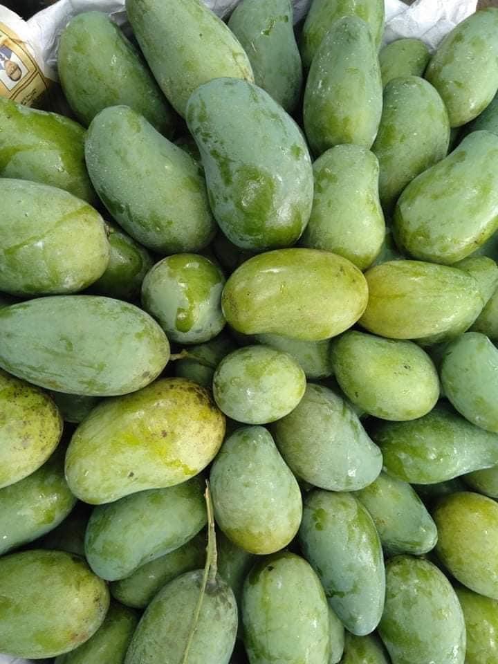 🌿 আম্রপালি (Naogaon-Sapahar Amrapali) ৪০কেজি - Image 2